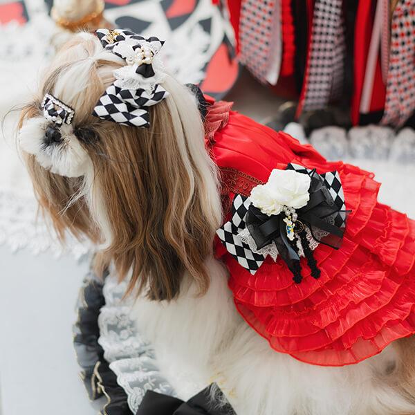 おしゃれさんワンピース ∞TuTu∞ クリスマス 犬服 ハンドメイド