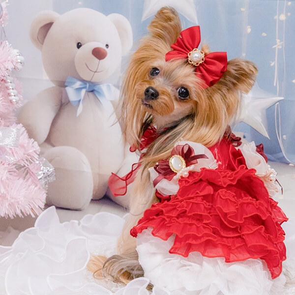 CanNana 犬 服 犬の服 秋冬 サテンドレスアップワンピース プレゼント