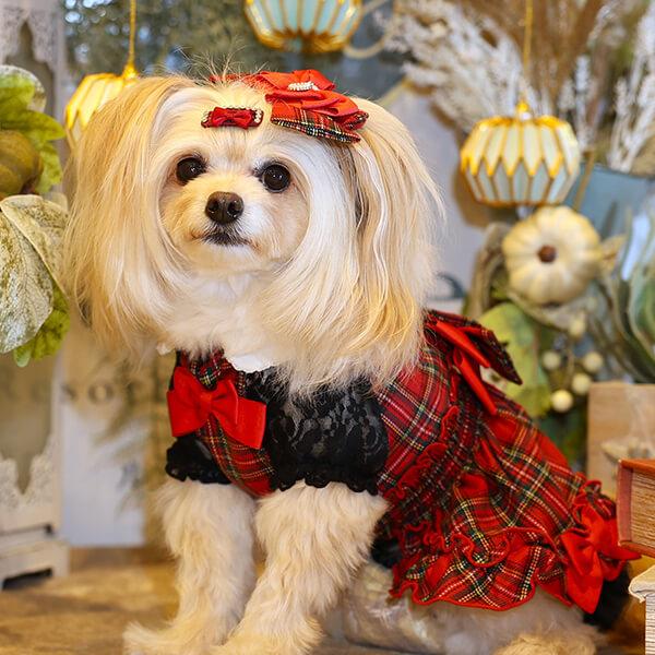 CanNana 犬 犬服 服 秋冬ドックウェア ワンピース かわいい フリフリ