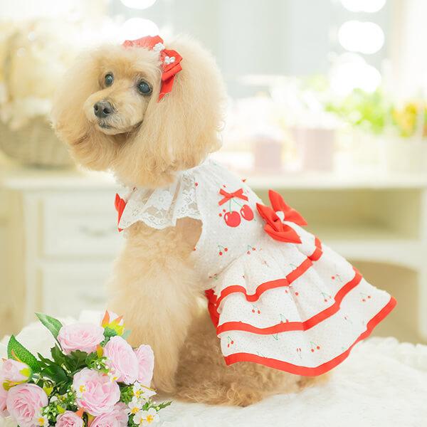 犬服 魁花 ハンドメイド 犬服 魁花様専用 ハンドメイド