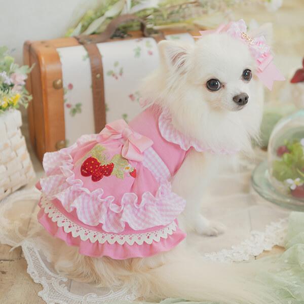 CanNana 犬 犬服 春 レトロいちごギンガムフリルワンピース