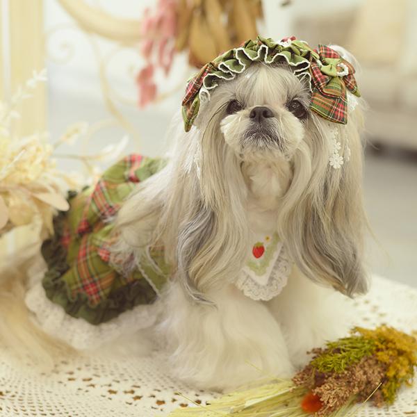 CanNana 犬 犬服 春 ドックウェア ワンピース レトロ いちご タータン