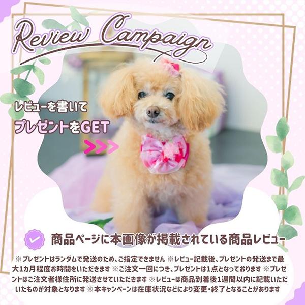 CanNana アリス 不思議の国のアリス ピンク 犬服 ワンピース コスプレ