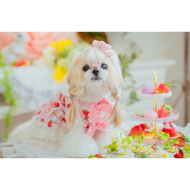 CanNana 犬 服 犬服 春夏 いちごプリンセスワンピース ワンピース