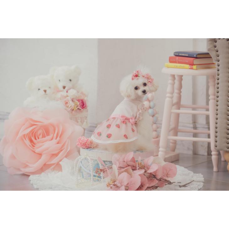 CanNana 犬 服 犬服 春夏 いちごチュール ドッキングワンピース いちご