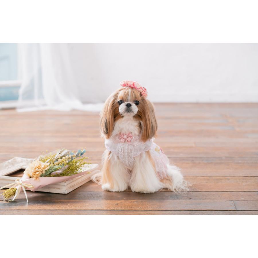 CanNana 犬 服 犬の服 ワンピース 夏 サマーレースワンピース 涼しい