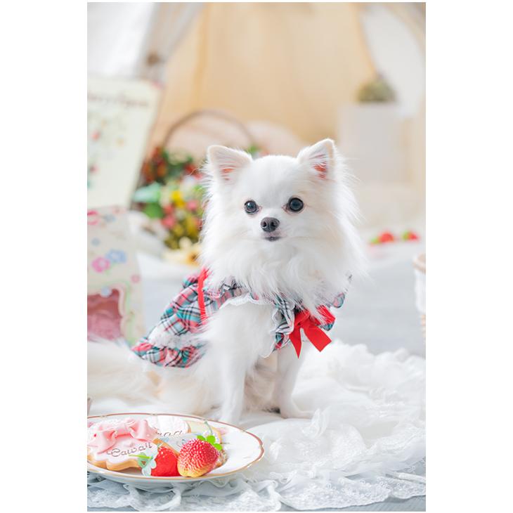 CanNana 犬 服 犬服 ワンピース 春夏 タータンチェック リボン レース