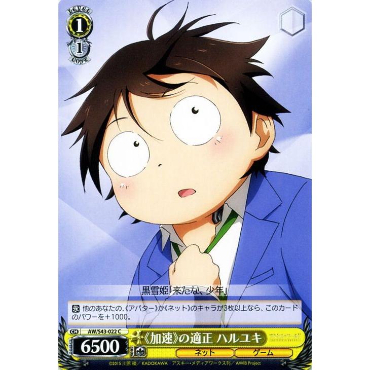 ヴァイスシュヴァルツ アクセル・ワールド -インフィニット・バースト