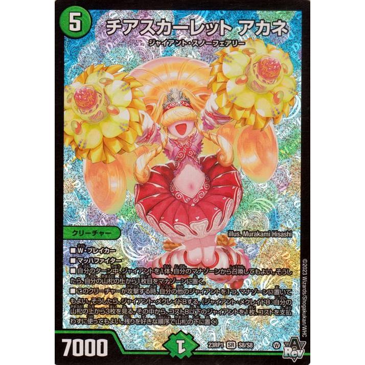 チアスカーレットアカネ b 4枚セット チアスカーレットアカネ B 4枚