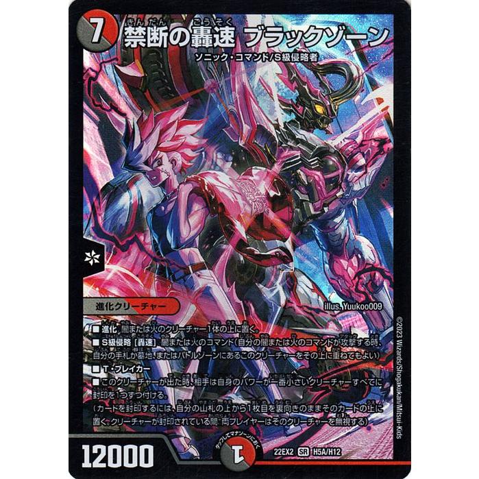 デュエル・マスターズ 禁断の轟速 ブラックゾーン(ヒーローレア) 闇の