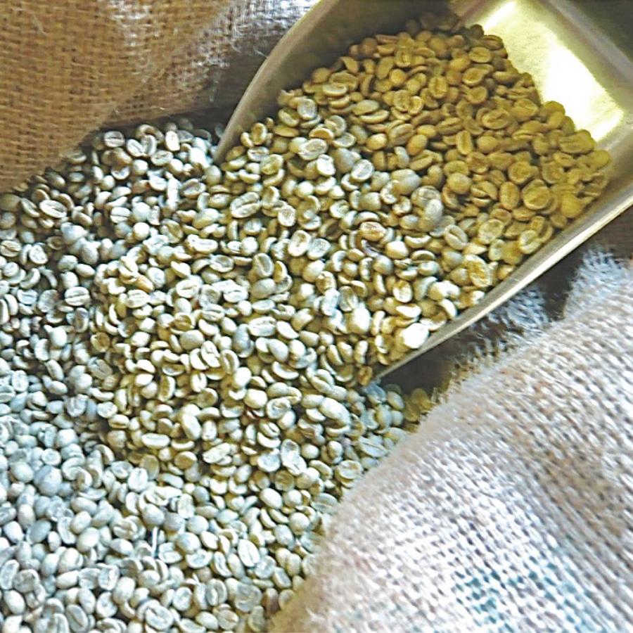 アラビカコーヒー生豆 グアテマラ SHB Guatemala 5kg 自家焙煎