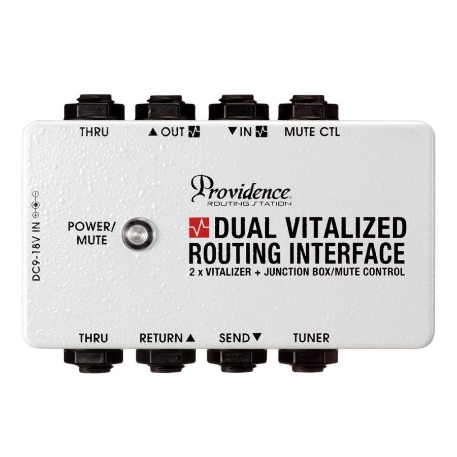 Providence Providence DVI-1M DUAL VITALIZED ROUTING INTERFACE