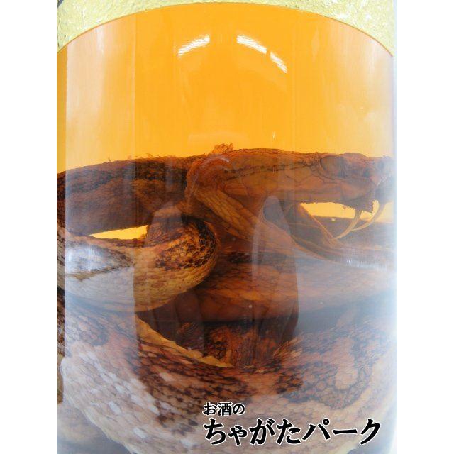 ハブ入り】 【限定品】 南都酒造 億万長蛇 ハブ入り酒 35度 800ml