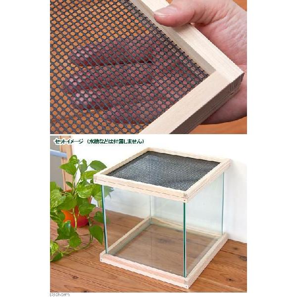 爬虫類ケージ 80×40×40㎝ 全コーキング100円 爬虫類ケージ 80×40×40