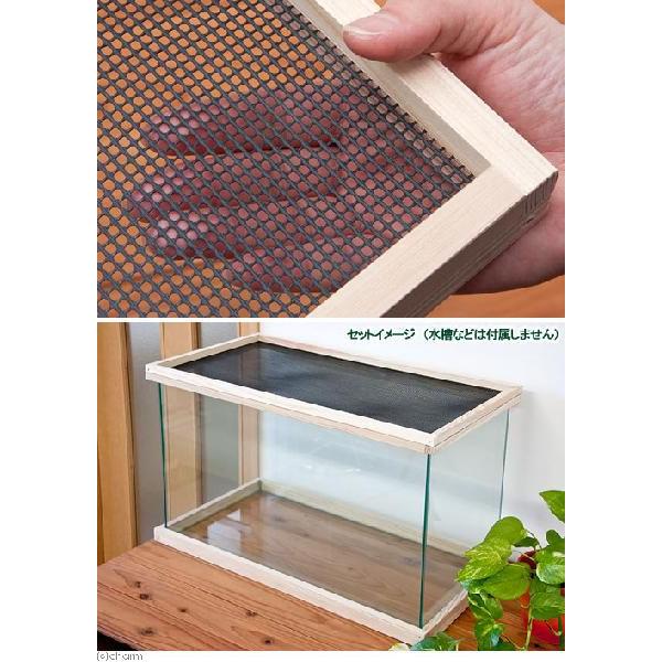 爬虫類ケージ 80×60×45㎝ レール茶 金網② ガラス面最大 ゲージ