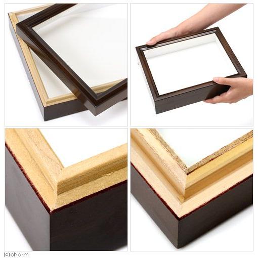 バードウィング製 ドイツ型標本箱 BWミニ （幅25×奥行き20×高さ