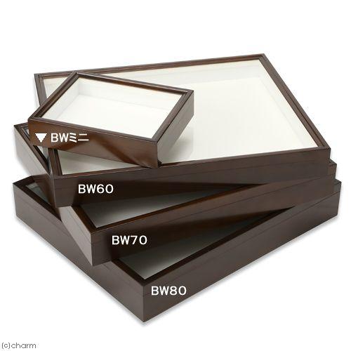 バードウィング製 ドイツ型標本箱 BWミニ （幅25×奥行き20×高さ