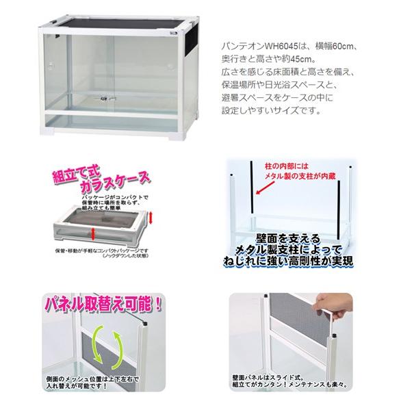 温室・飼育ケース REPTI WILD 6045 Amazon.co.jp: @ パンテオン
