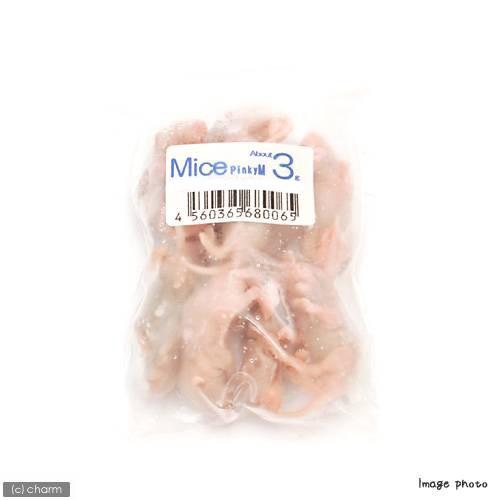 冷凍☆M（10匹） カタ養殖 Mice3 冷凍ピンクマウス パック