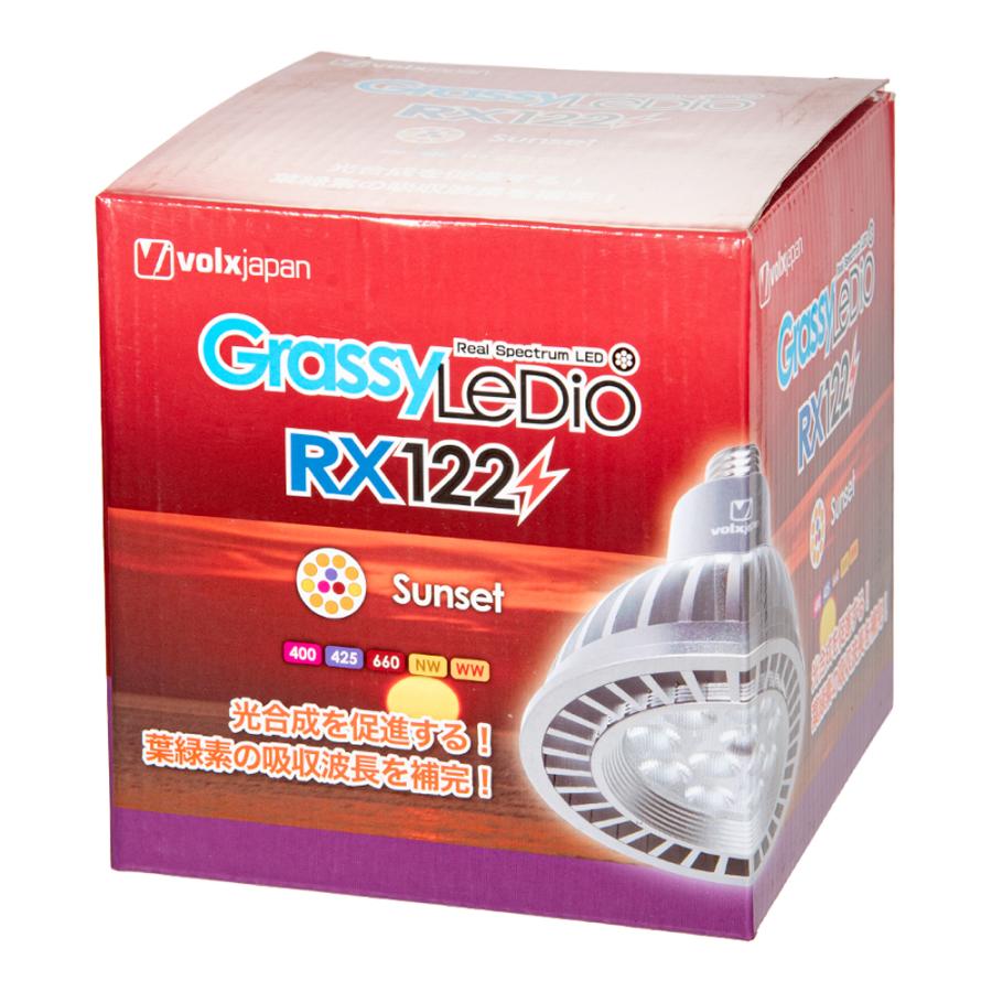 volxjapan（ボルクスジャパン） Grassy LeDio RX122
