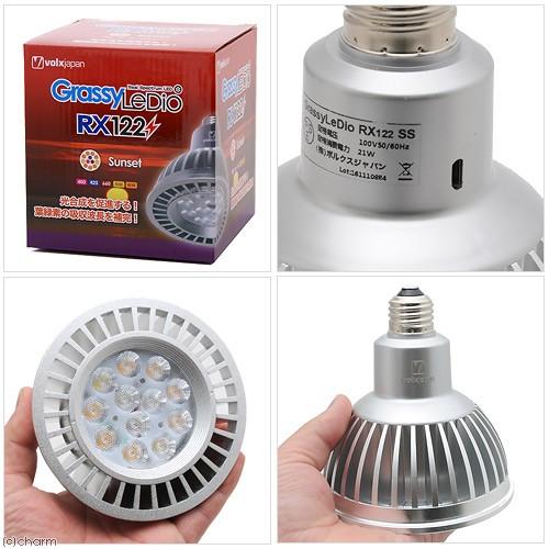 GrassyLeDio RX122 コーラル LEDライト他2点 GrassyLeDio RX122 Coral