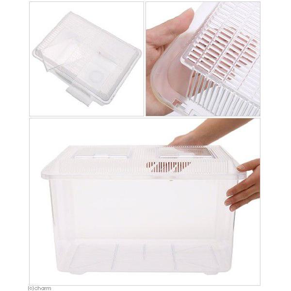 プラケース 飼育容器 スーパー特大 クリア（幅500×奥行き355×高