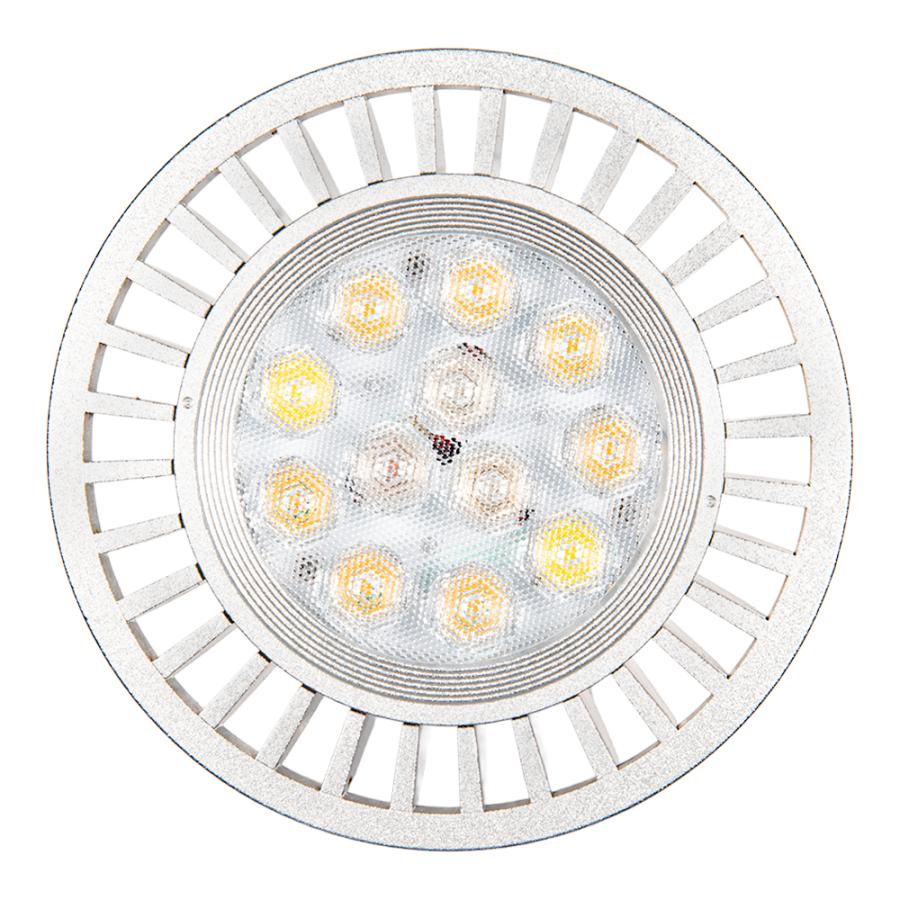 volxjapan（ボルクスジャパン） Grassy LeDio RX122