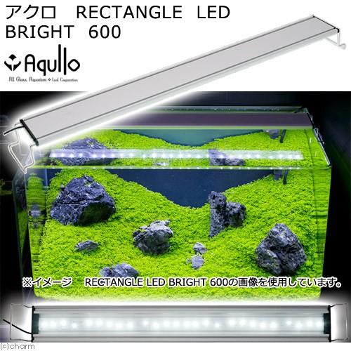 アクロ RECTANGLE LED BRIGHT 600 3250lm
