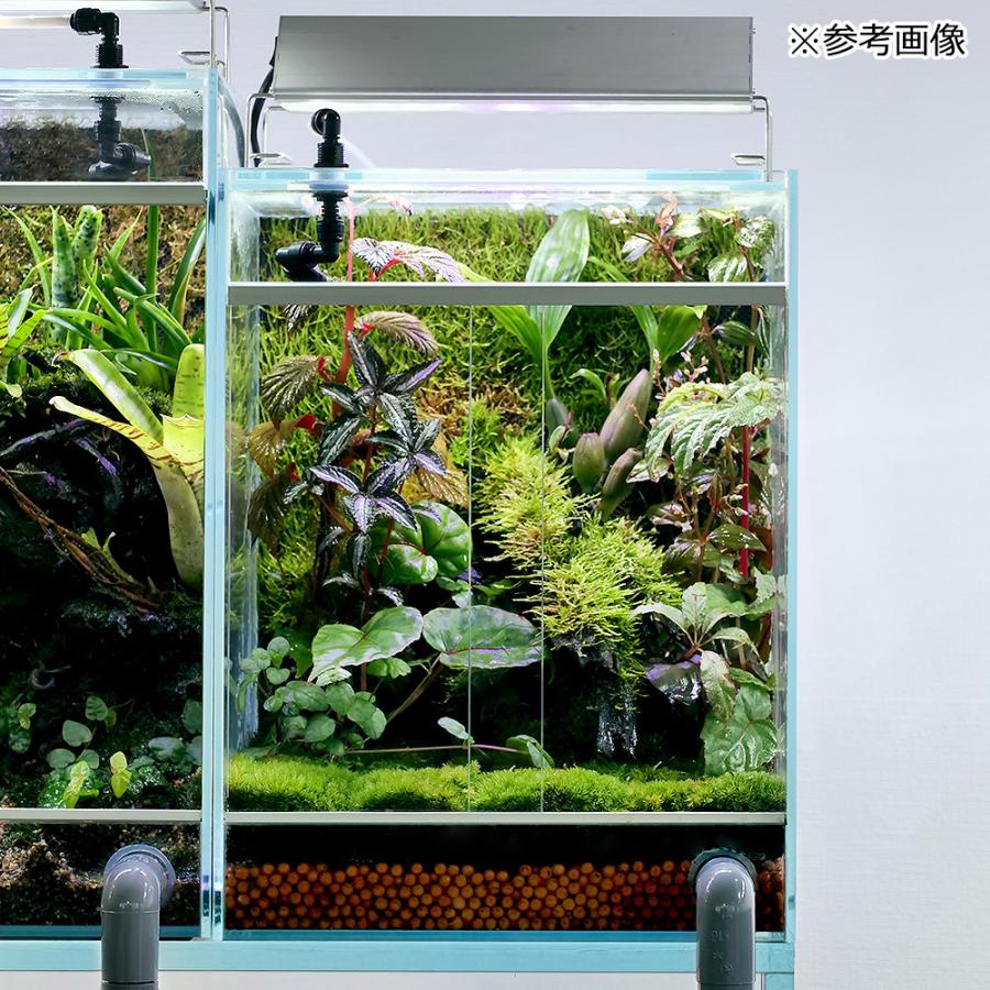 アクロ TRIANGLE テラリウム・アクアポニックス・陸上植物用