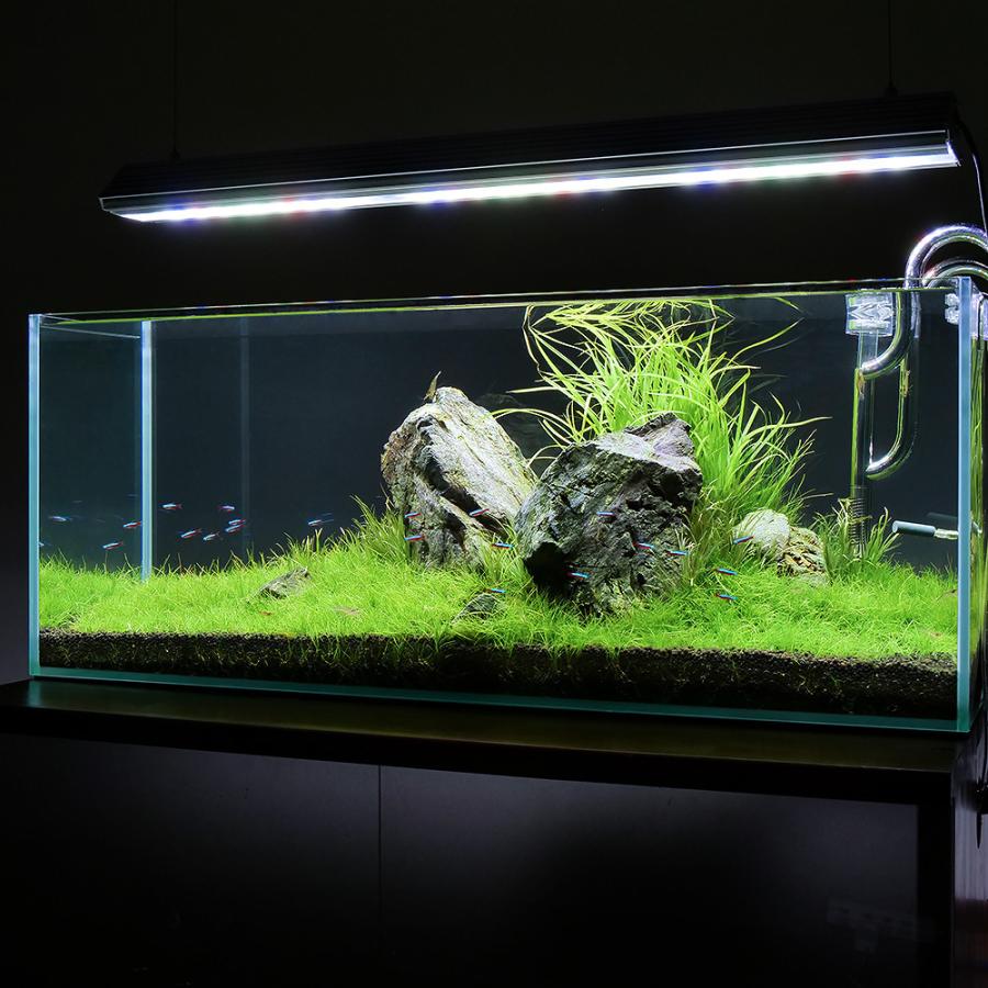 GEX 90cm ガラス水槽