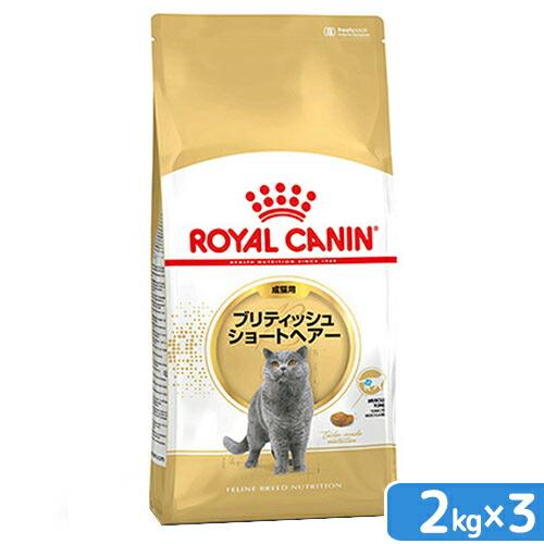 ロイヤルカナン（ROYAL CANIN） 猫 ブリティッシュ ショートヘア