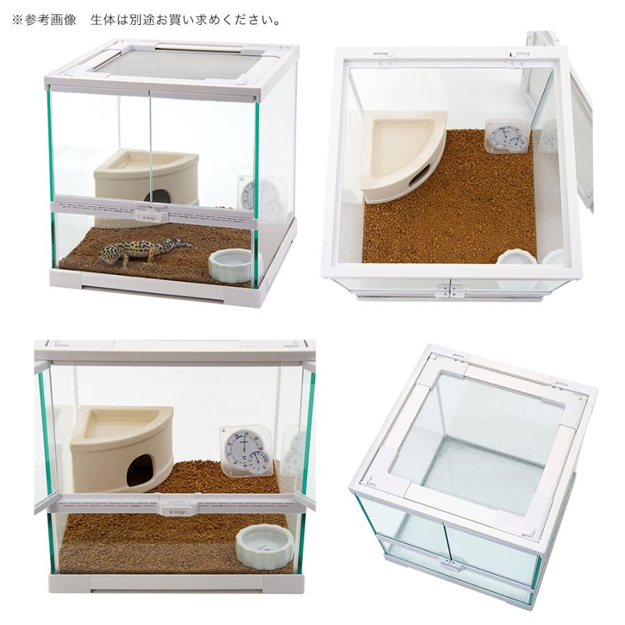 チャーム（charm） ヒョウモントカゲモドキ 飼育セット レオパ お一