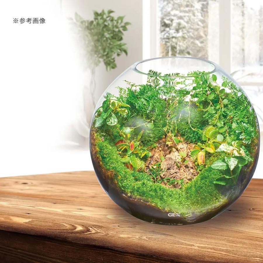GEX（ジェックス） グラスアクア スフィア N 22cm テラリウム