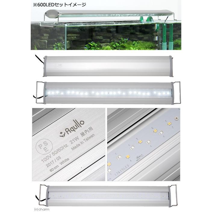 アクロ OVAL LED 600 3250lm BRIGHT 水槽 照明