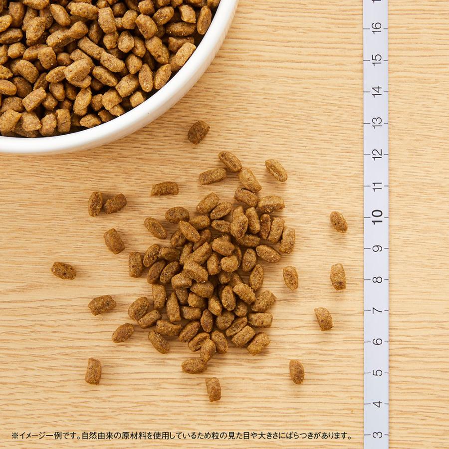 Supremo ドッグフード ドライフード 2袋セット シュプレモ ニュートロ