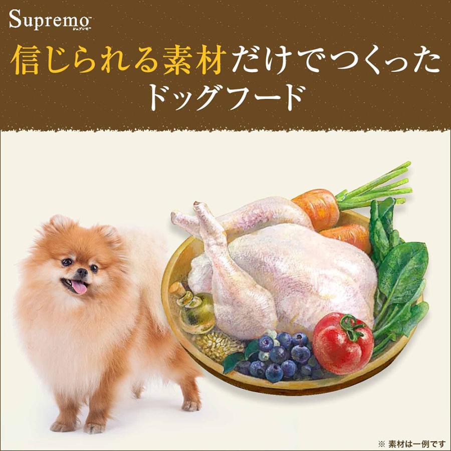 シュプレモ ニュートロ シュプレモ 子犬用 小粒 6kg ＋ パウチ