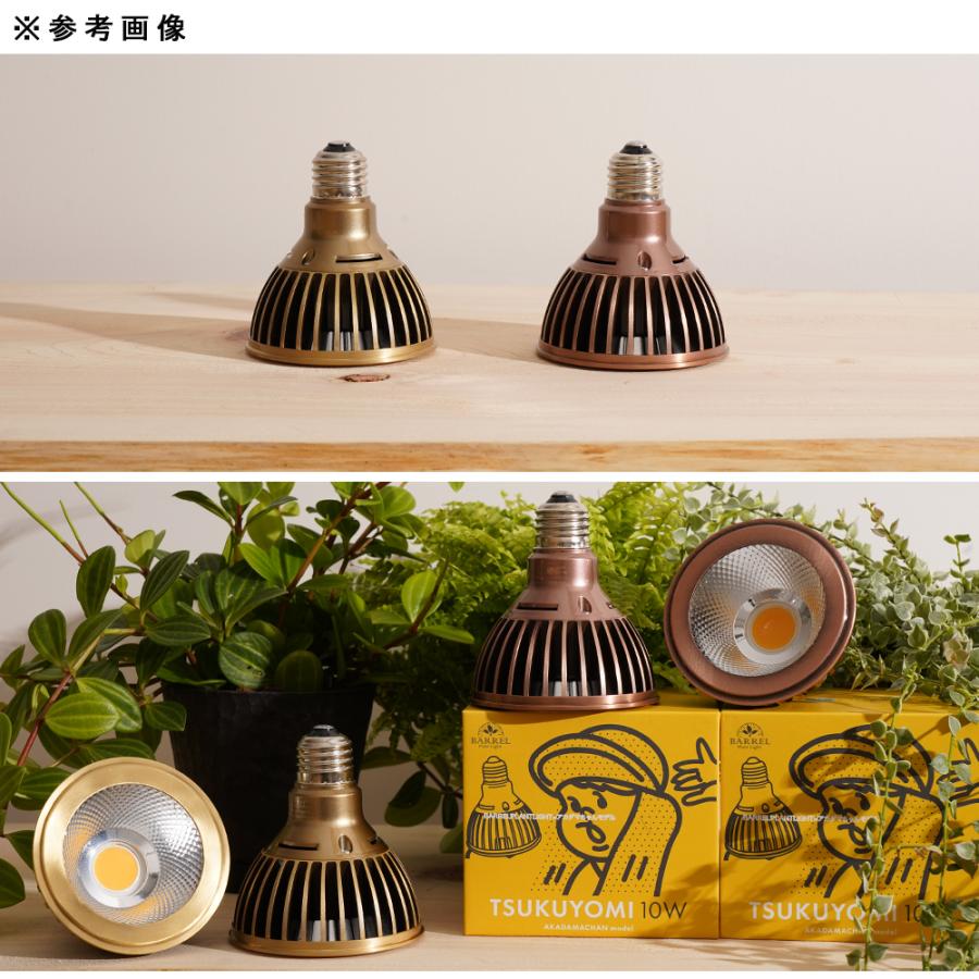 TSUKUYOMI LED 10W あかだまちゃんモデル ブロンズ