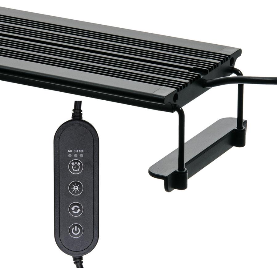 volxjapan（ボルクスジャパン） Grassy Legna 90