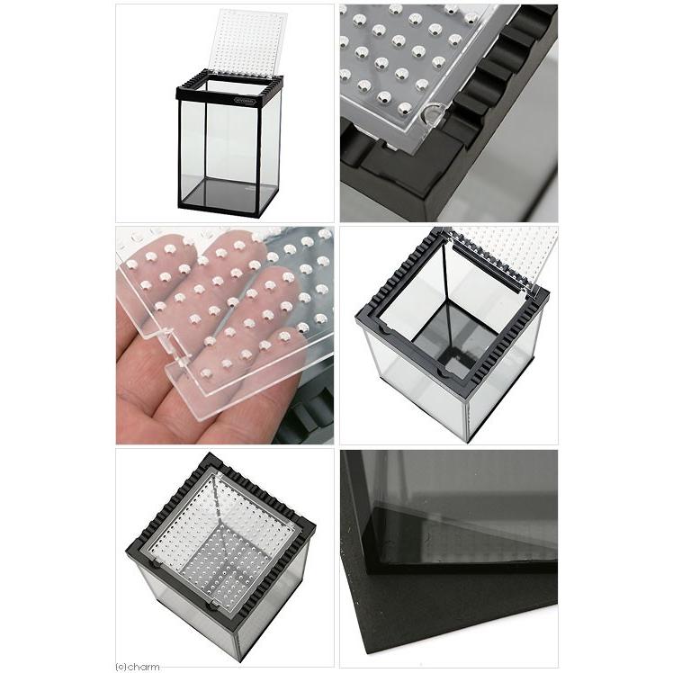 コトブキ工芸 爬虫類ケージ ヒュドラケース 1522 お一人様5点限り