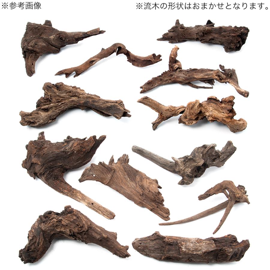 チャーム（charm） 形状お任せ 煮込み済み 塊状流木 Lサイズ（約25