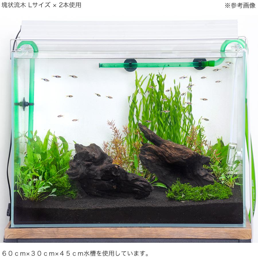 チャーム（charm） 形状お任せ 煮込み済み 塊状流木 Lサイズ（約25