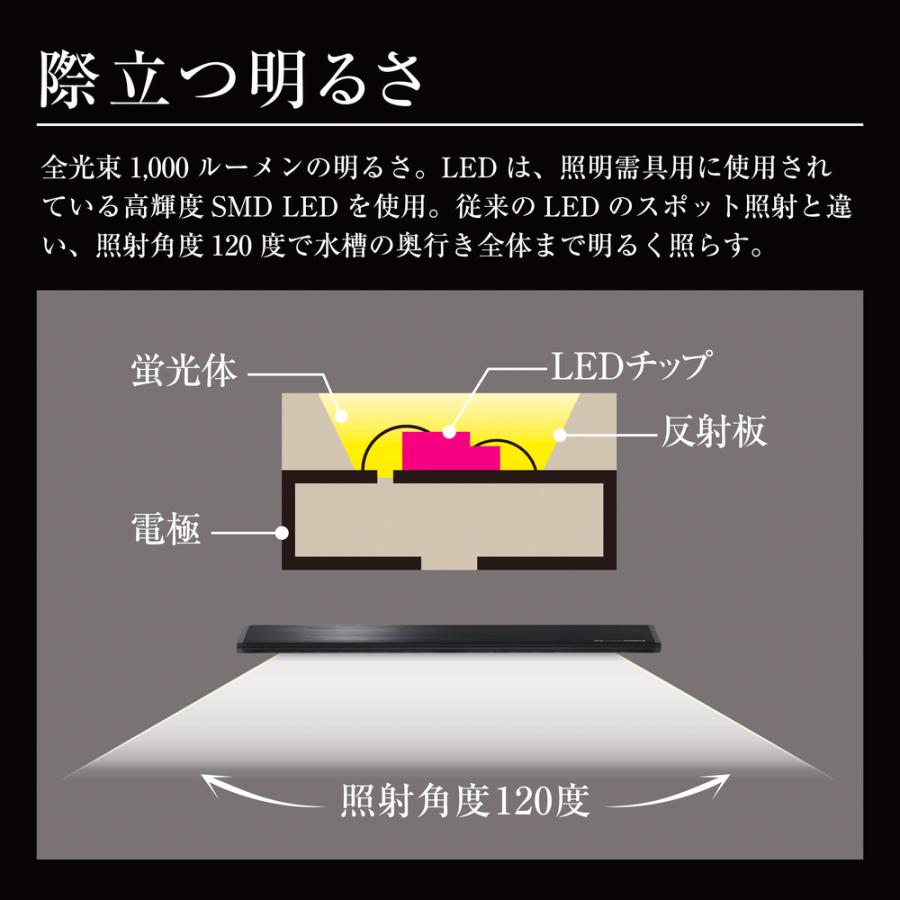 GEX（ジェックス） クリアLEDパワー3 600 ブラック 60cm