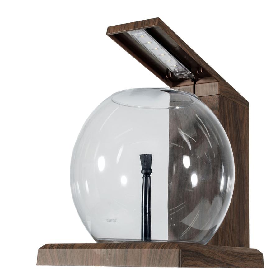 GEX（ジェックス） 水槽セット グラスアクア PERCO B−Dark