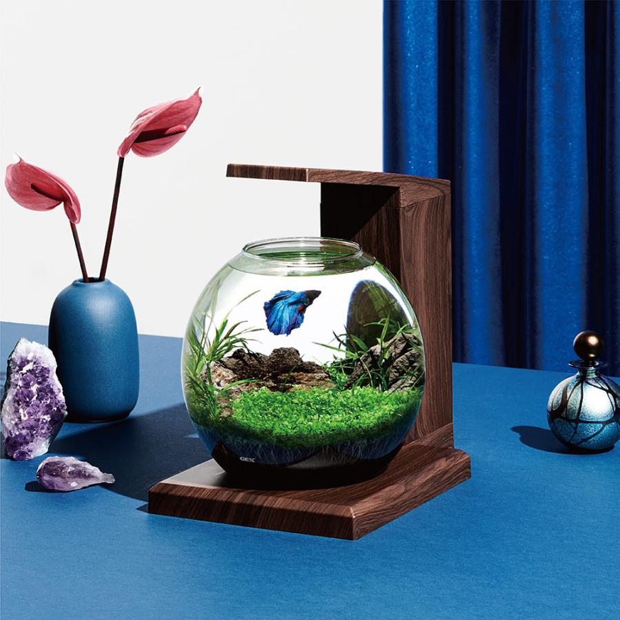 GEX（ジェックス） 水槽セット グラスアクア PERCO B−Dark