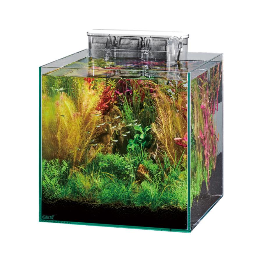 グラステリア GEX ガラス水槽 グラステリア300キューブ スリム