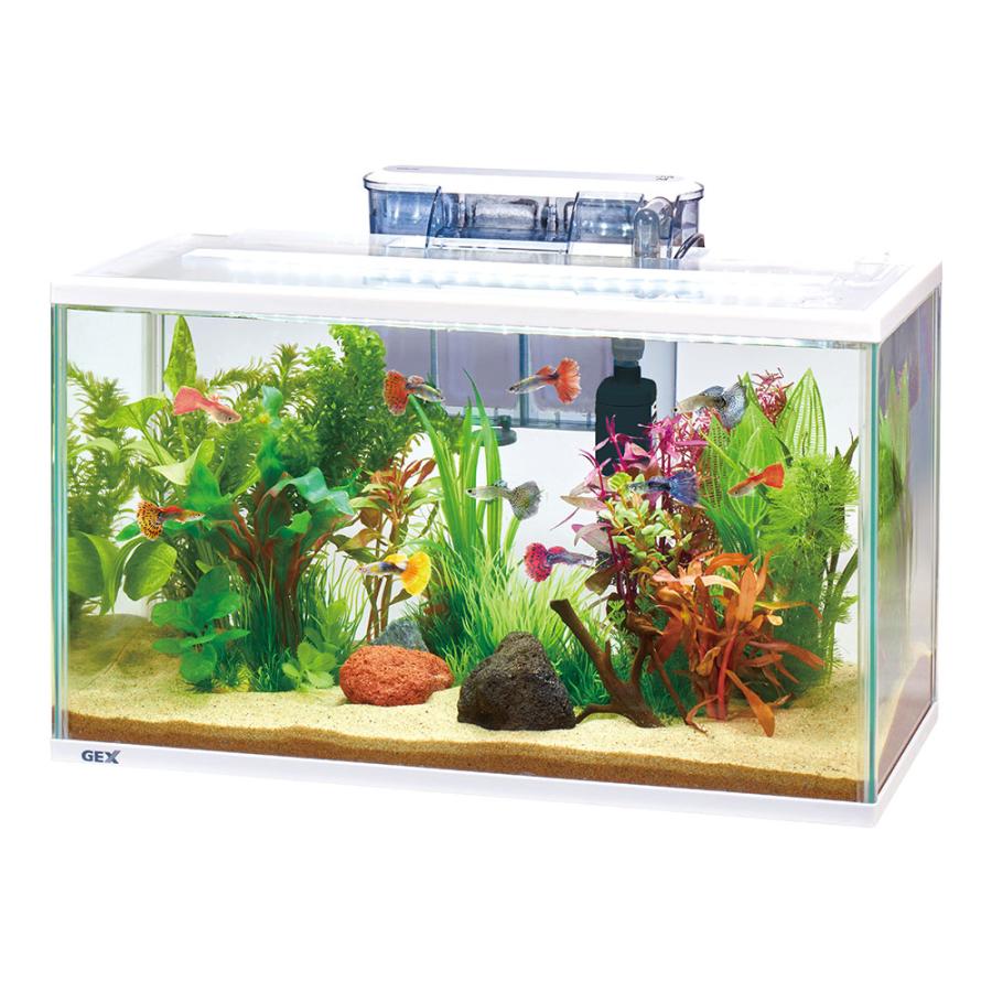 GEX（ジェックス） ガラス水槽 スリムアクアセット500 50×24