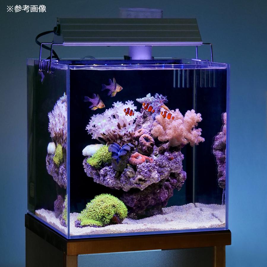 ZOOX Reef Nano2 LED水槽ライト