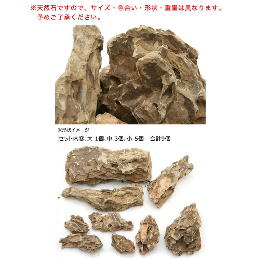 カミハタ アクアリウムロック 気孔石 レイアウトセット 45〜75cm