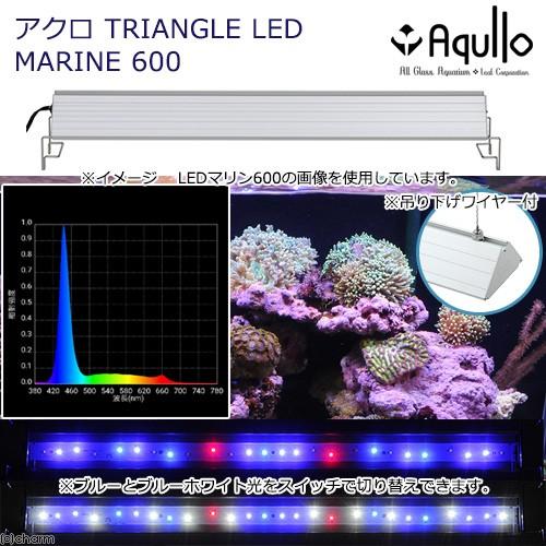 アクロ TRIANGLE LED MARINE 600 20000K