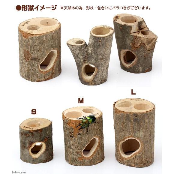 フジコン プレミアム インセクトシェルター M 昆虫 カブトムシ